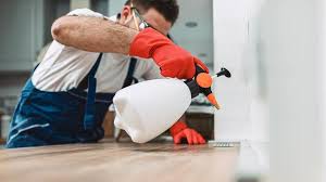 Best Real Estate Pest Inspections  in Hampton, SC